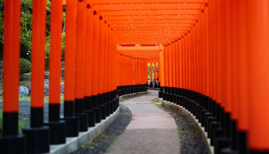 A winding path through a japanese garden with orange posts