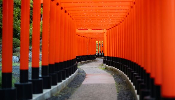 Cultural Integration: why value alignment matters more than technical compatibility